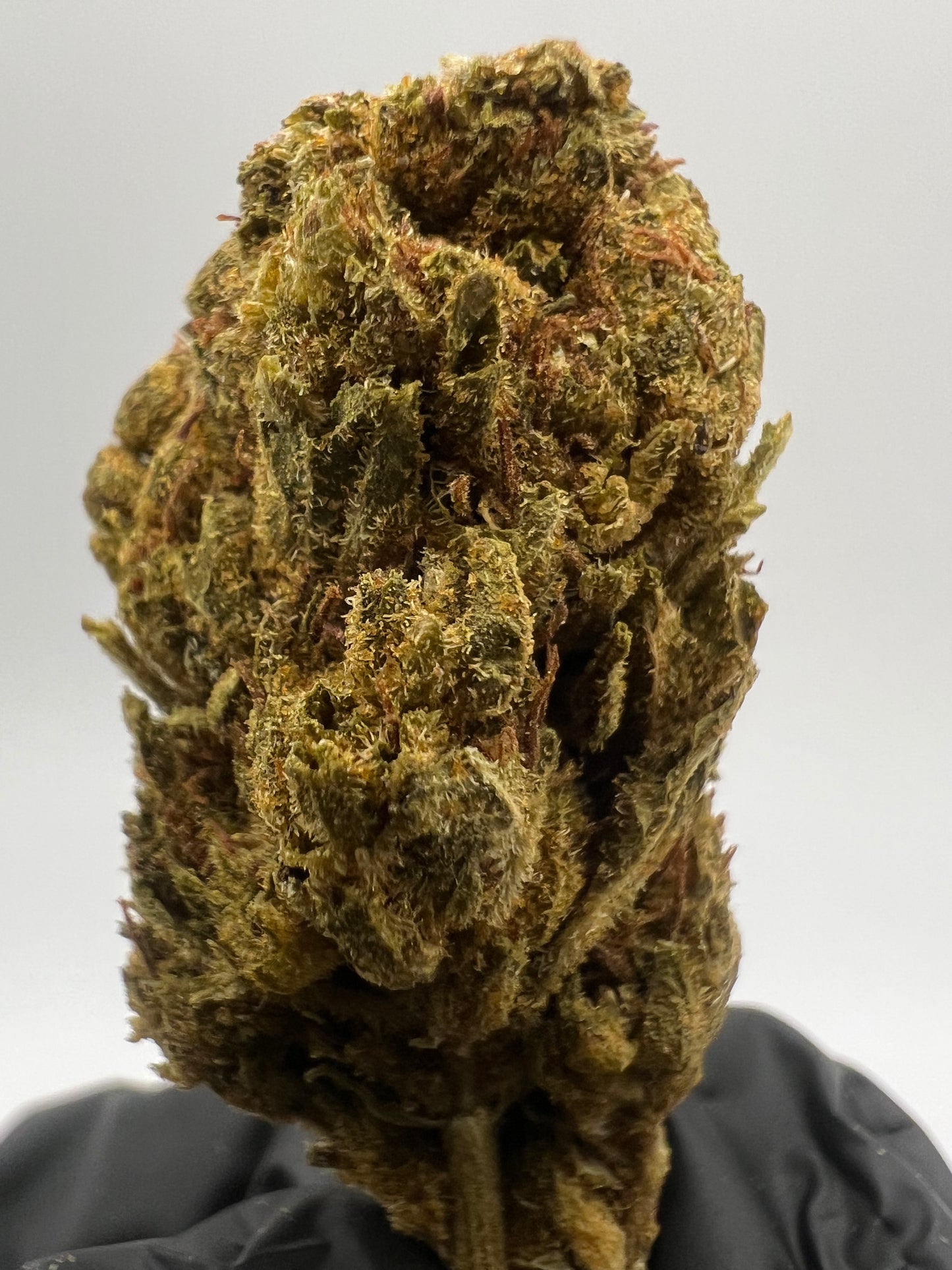 Candy Gas | THCA Flower
