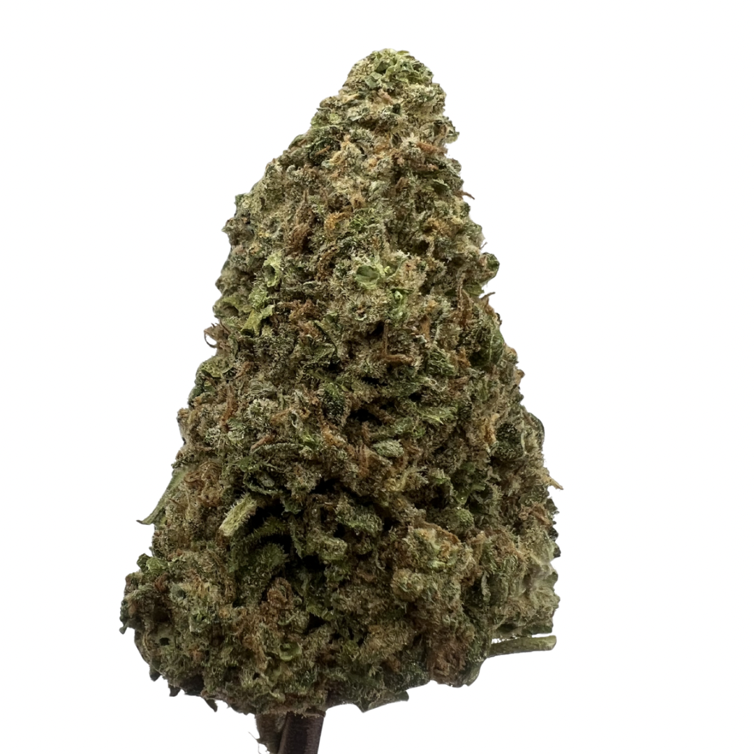 Purple Cream Pie | THCA Flower