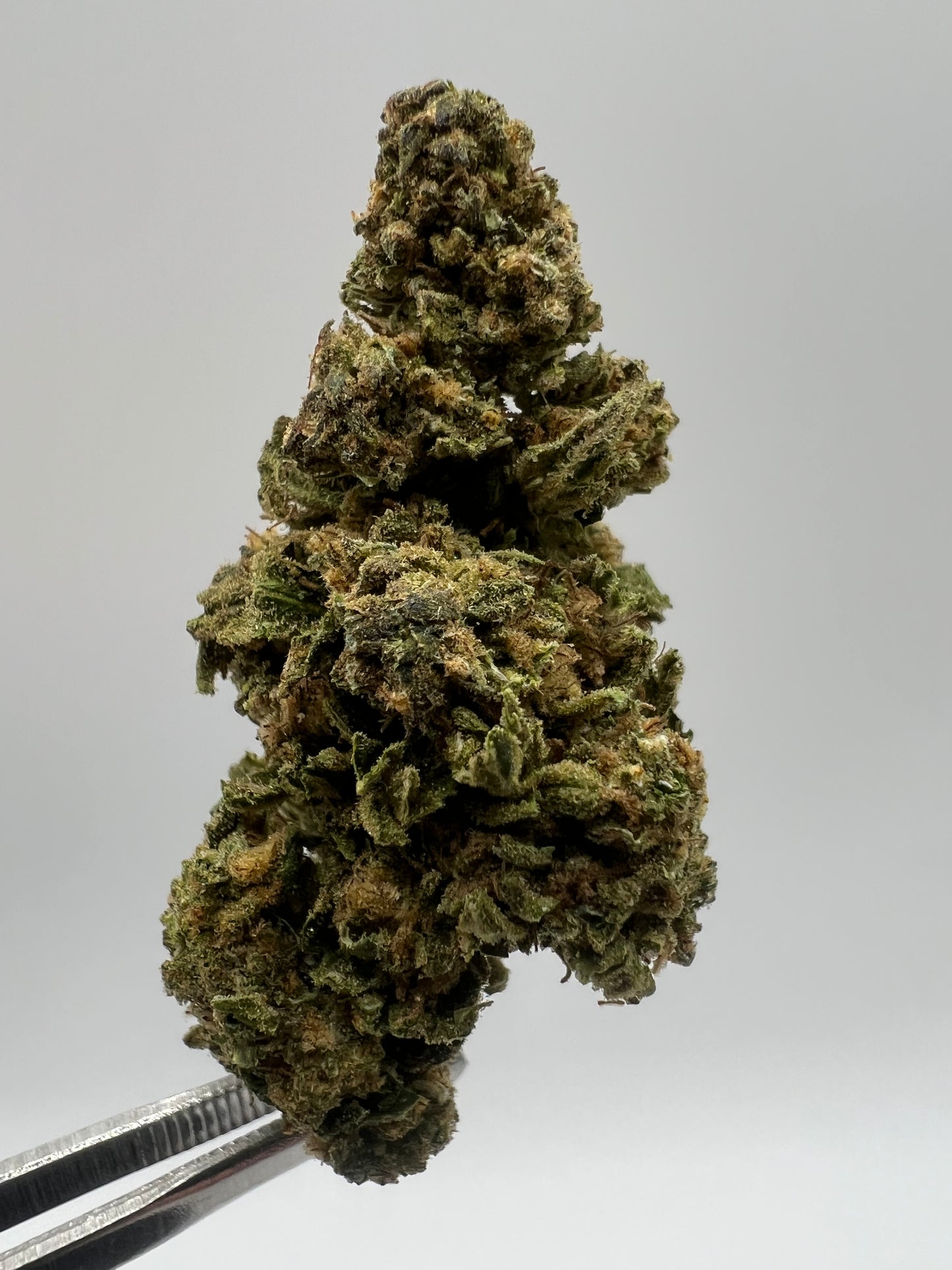 Twisted Lemons | THCA Flower