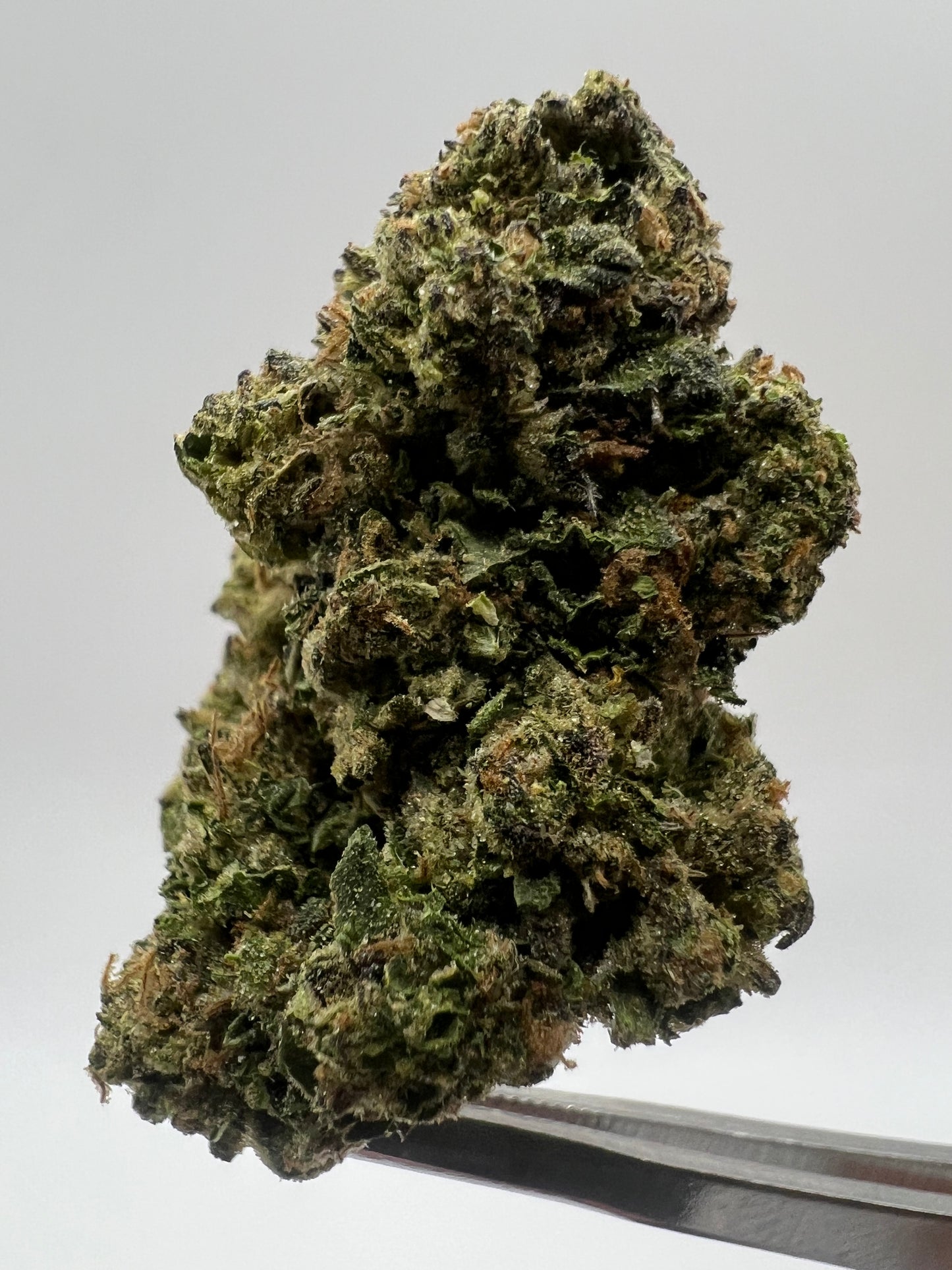 Silver Spaceship | THCA Flower