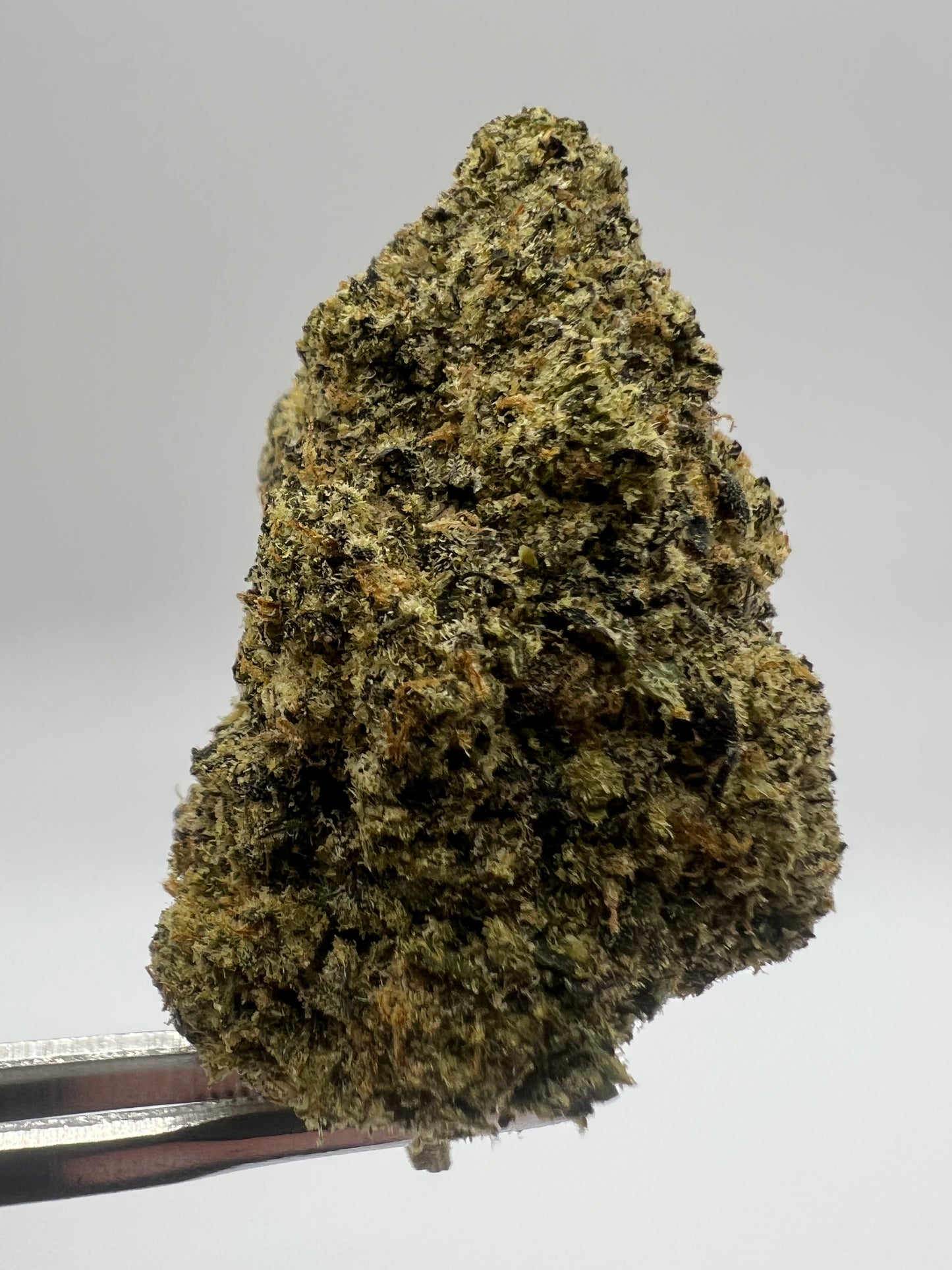 Alien Space Craft | THCA Flower