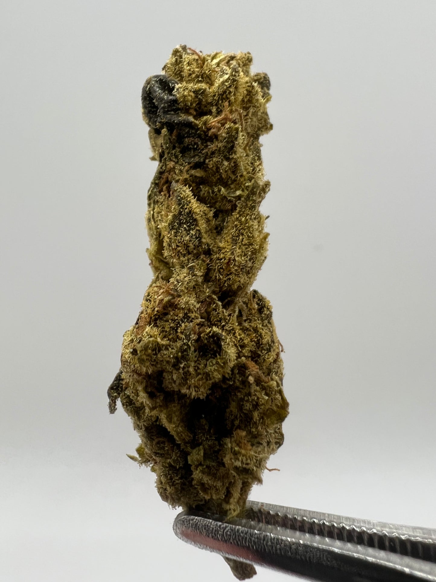 Lime Juice | THCA Flower