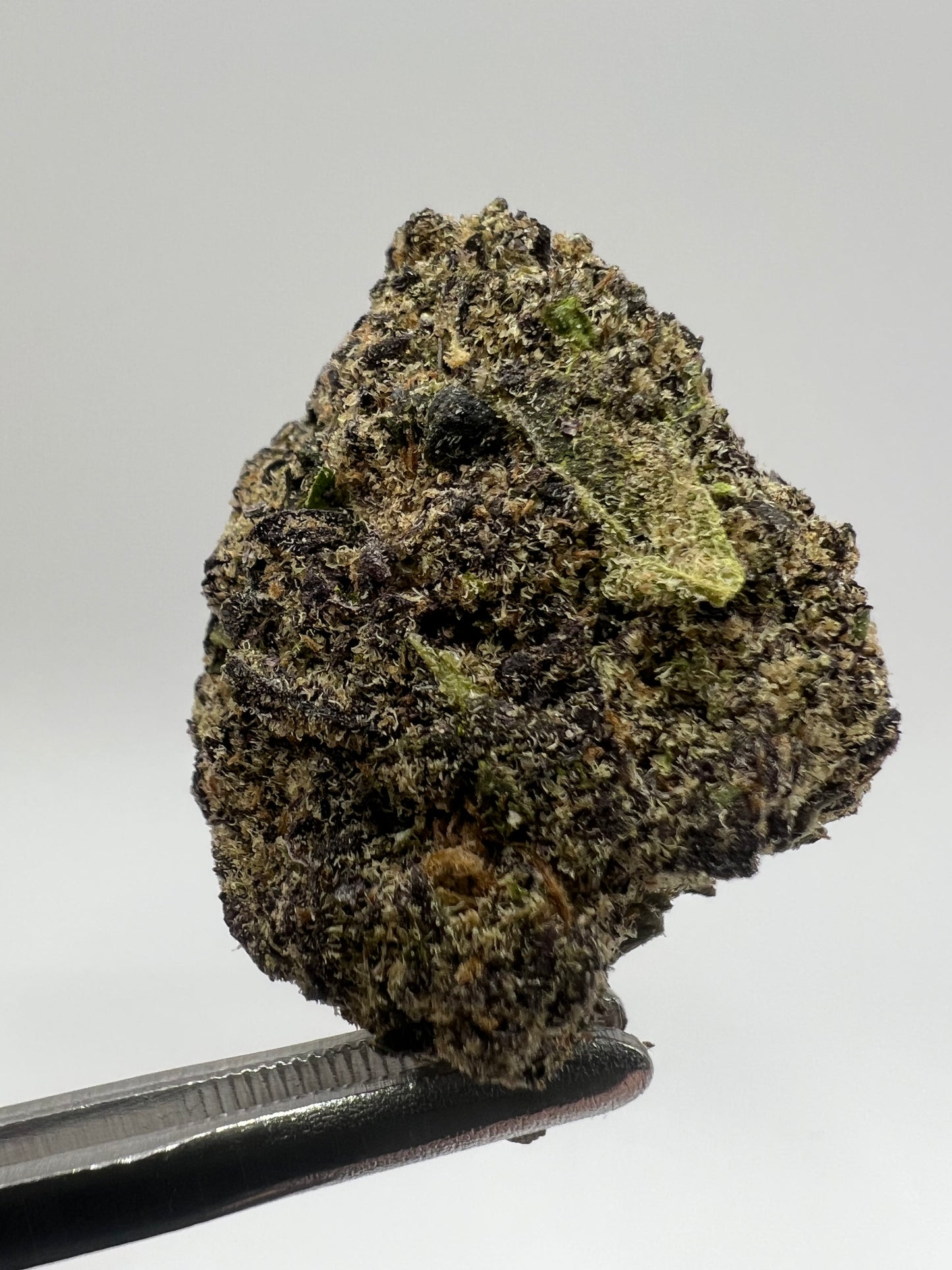 Blue Coffee | THCA Flower