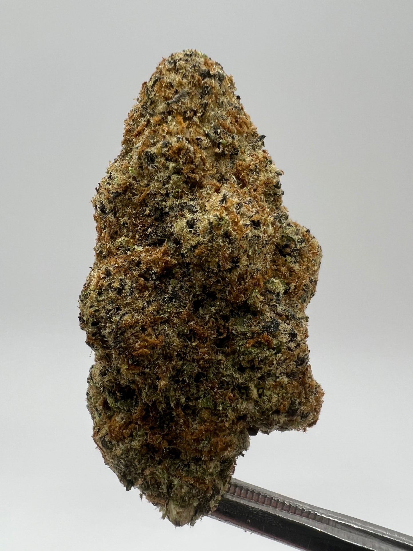 London Pound Cake | THCA Flower
