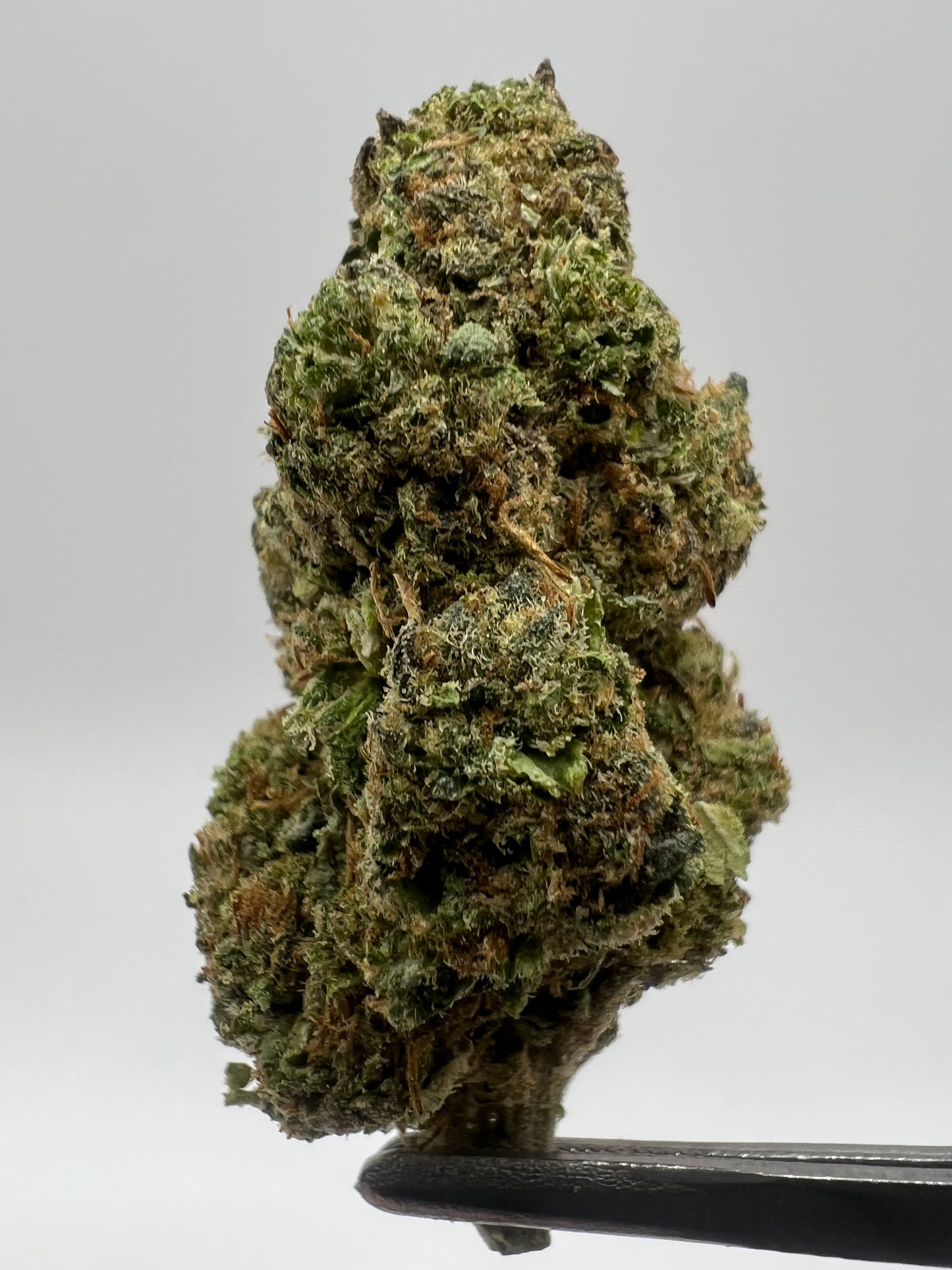 Astronaut Status | THCA Flower
