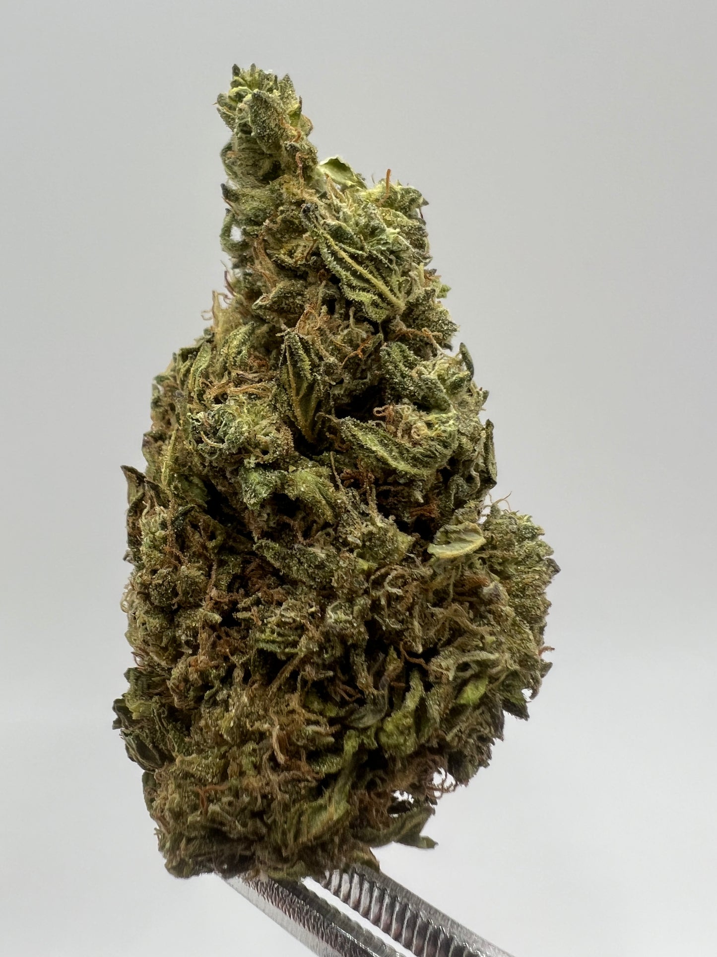 Dutch Treat | THCA Flower