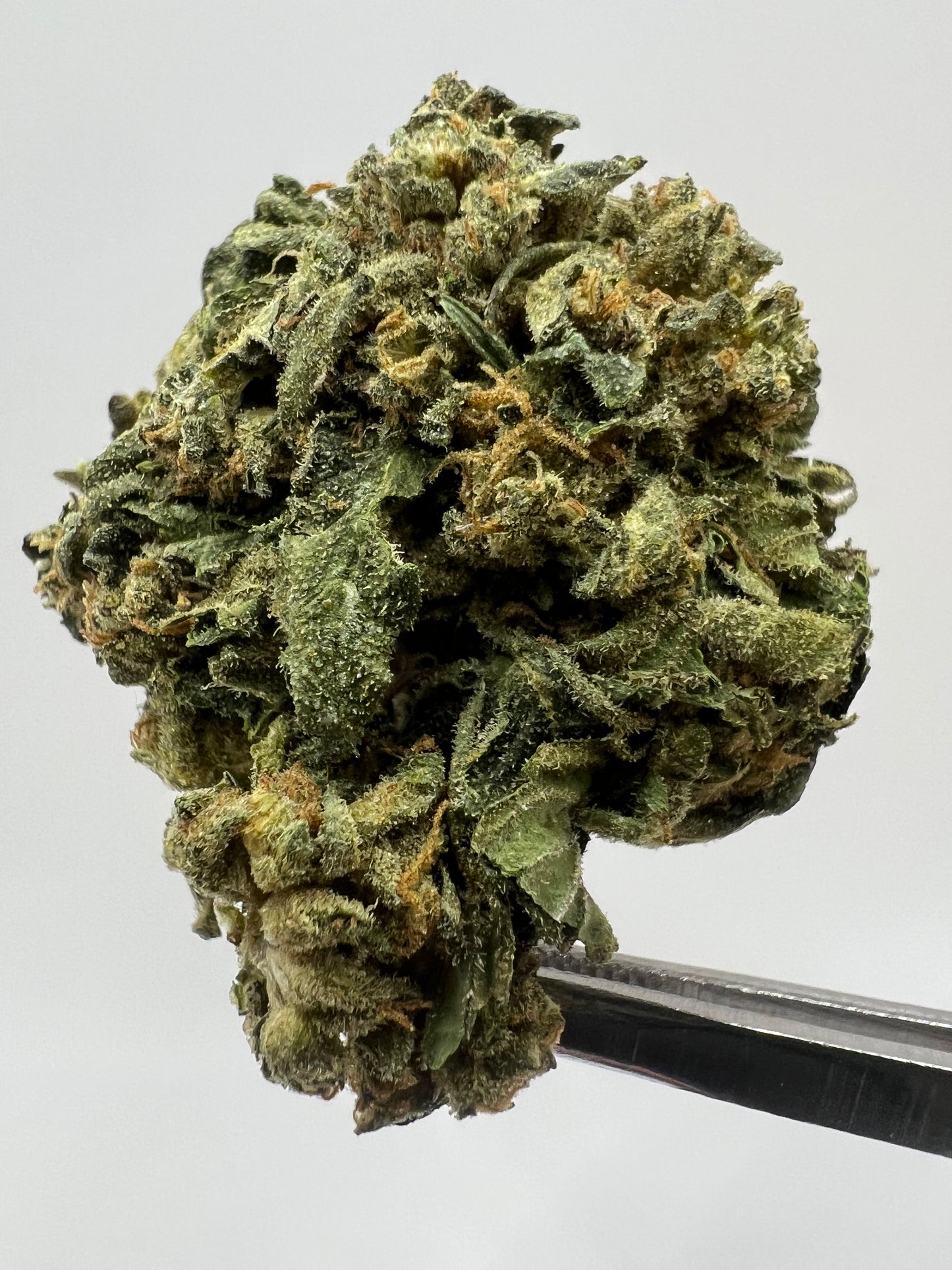 Lemon Curd | THCA Flower