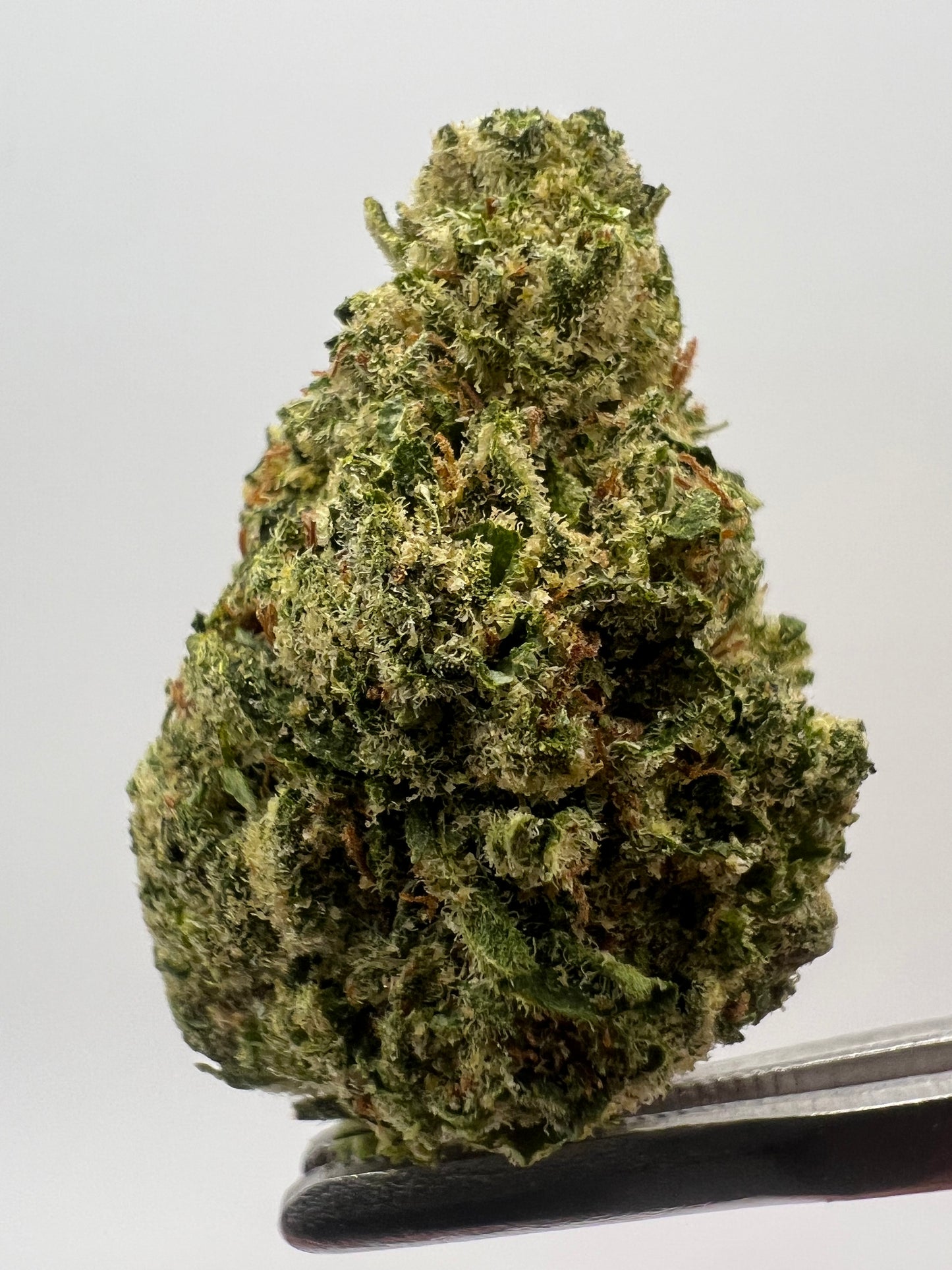 Green Goblin | THCA Flower