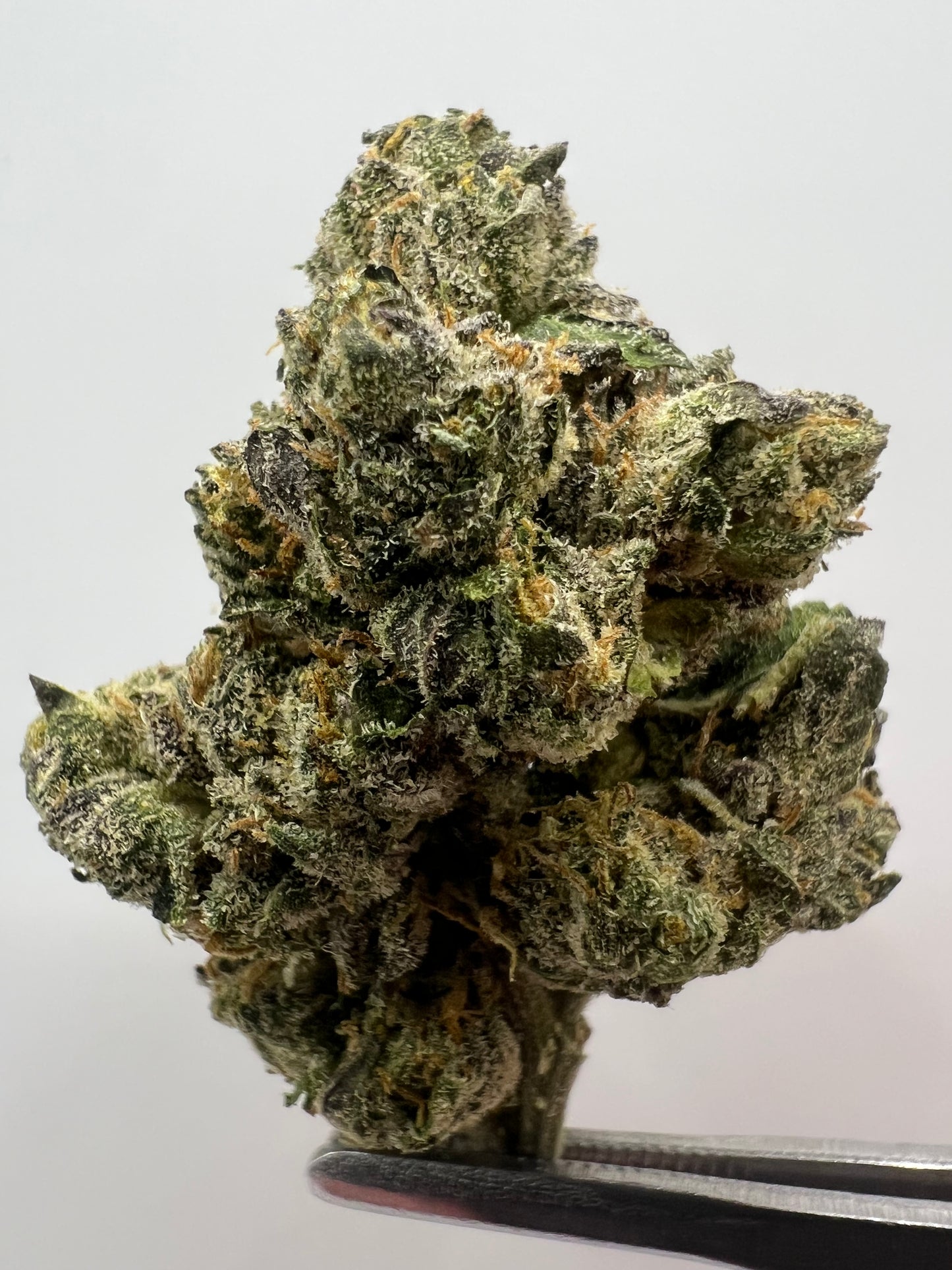 Blue Nerdz | THCA Flower