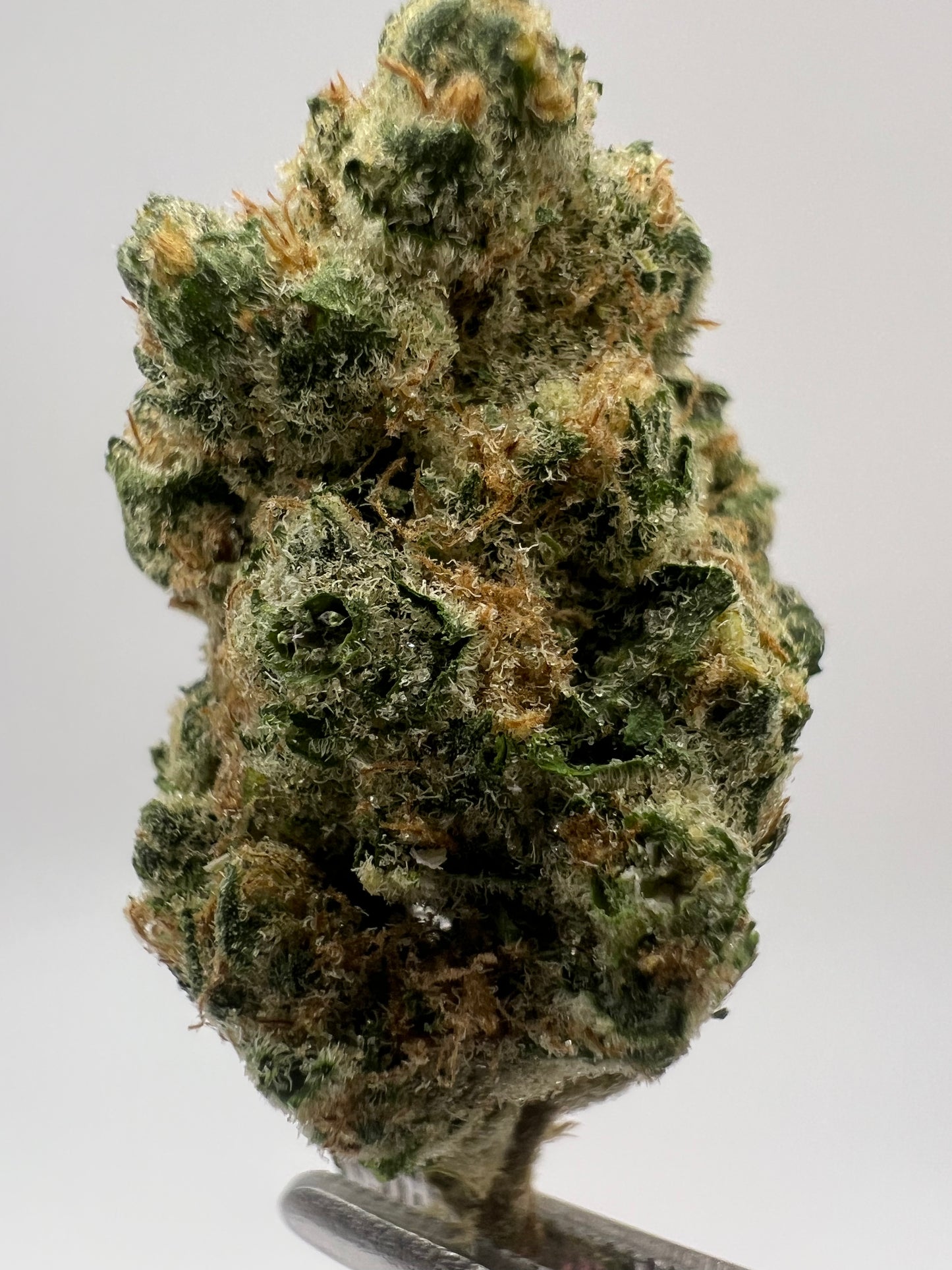 Super Boof | THCA Flower