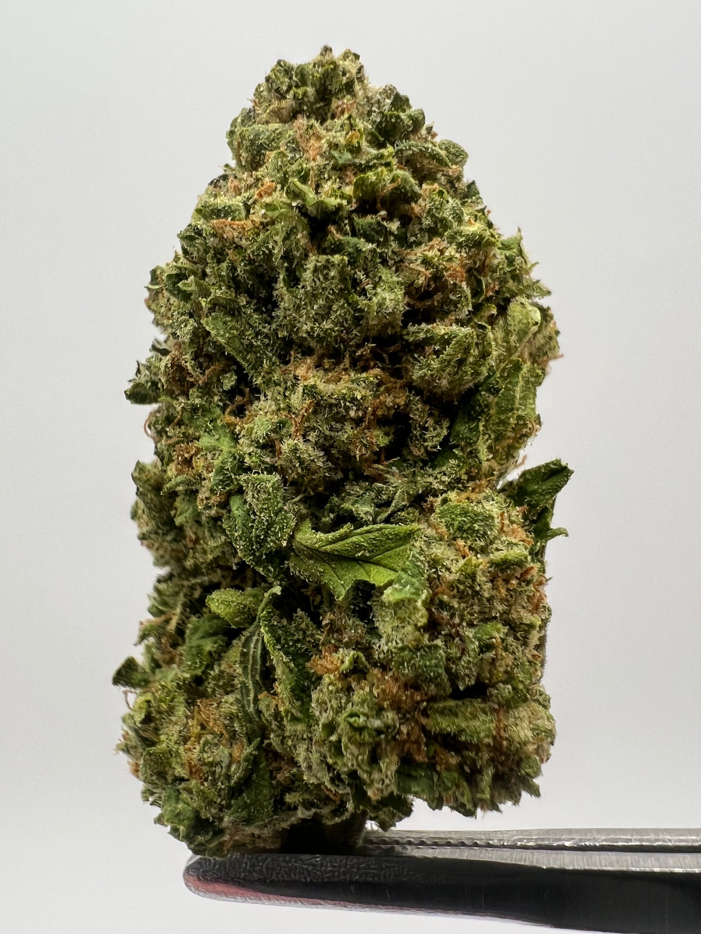 Mimosa | THCA Flower