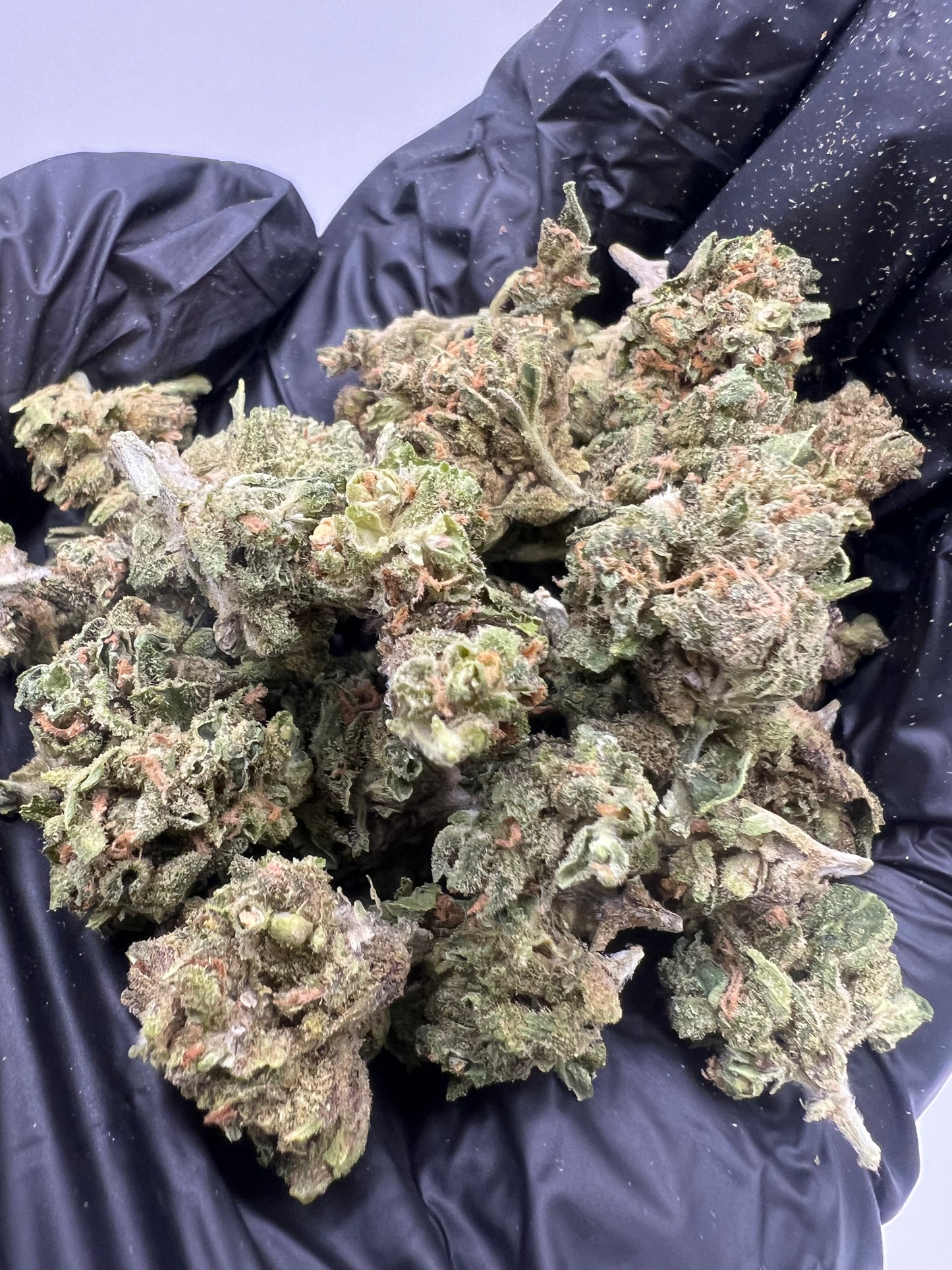 Sherbanger | THCA Flower Smalls