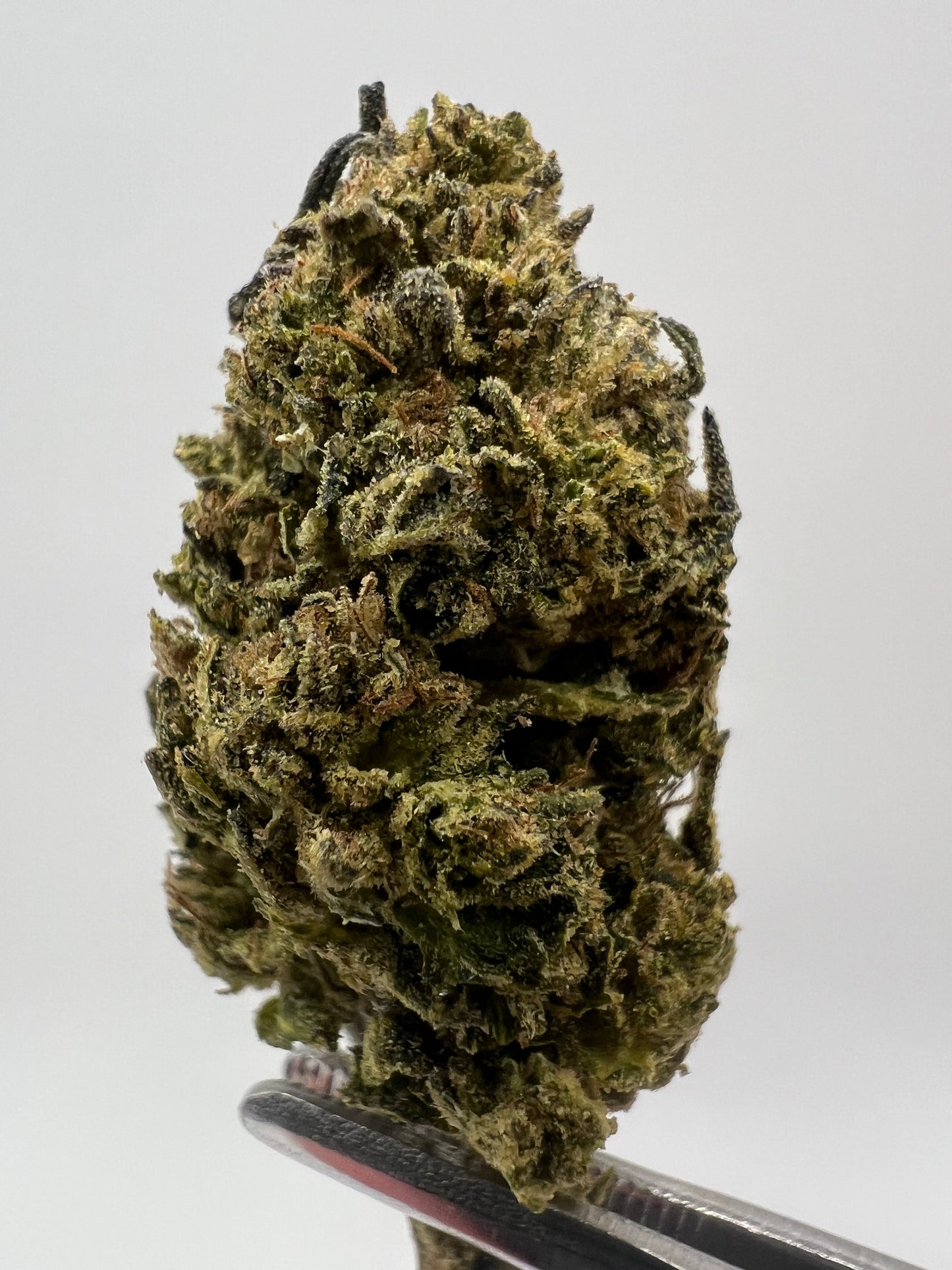 Jelly Cake | THCA Flower