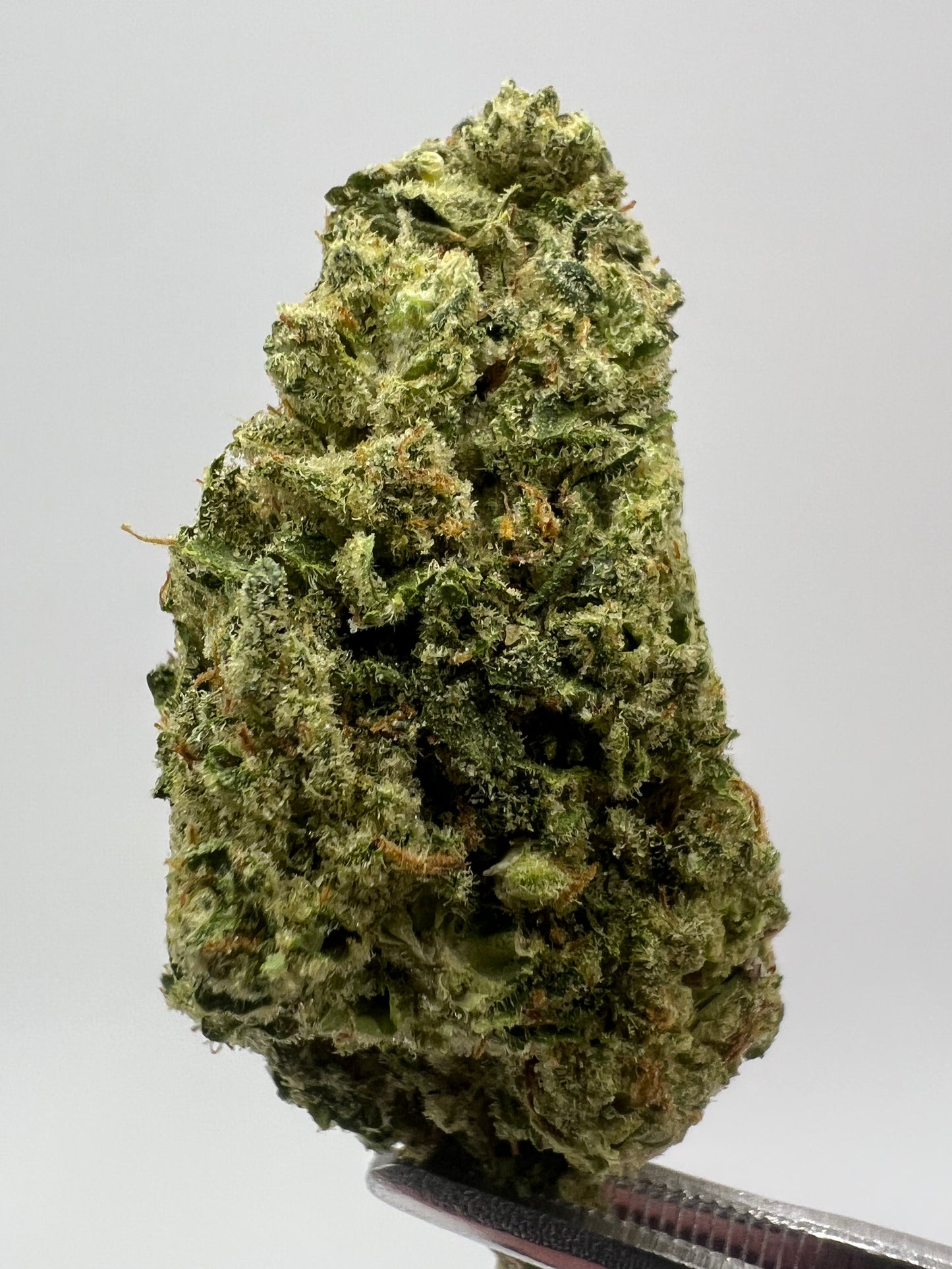 Guava Cheese | THCA Flower