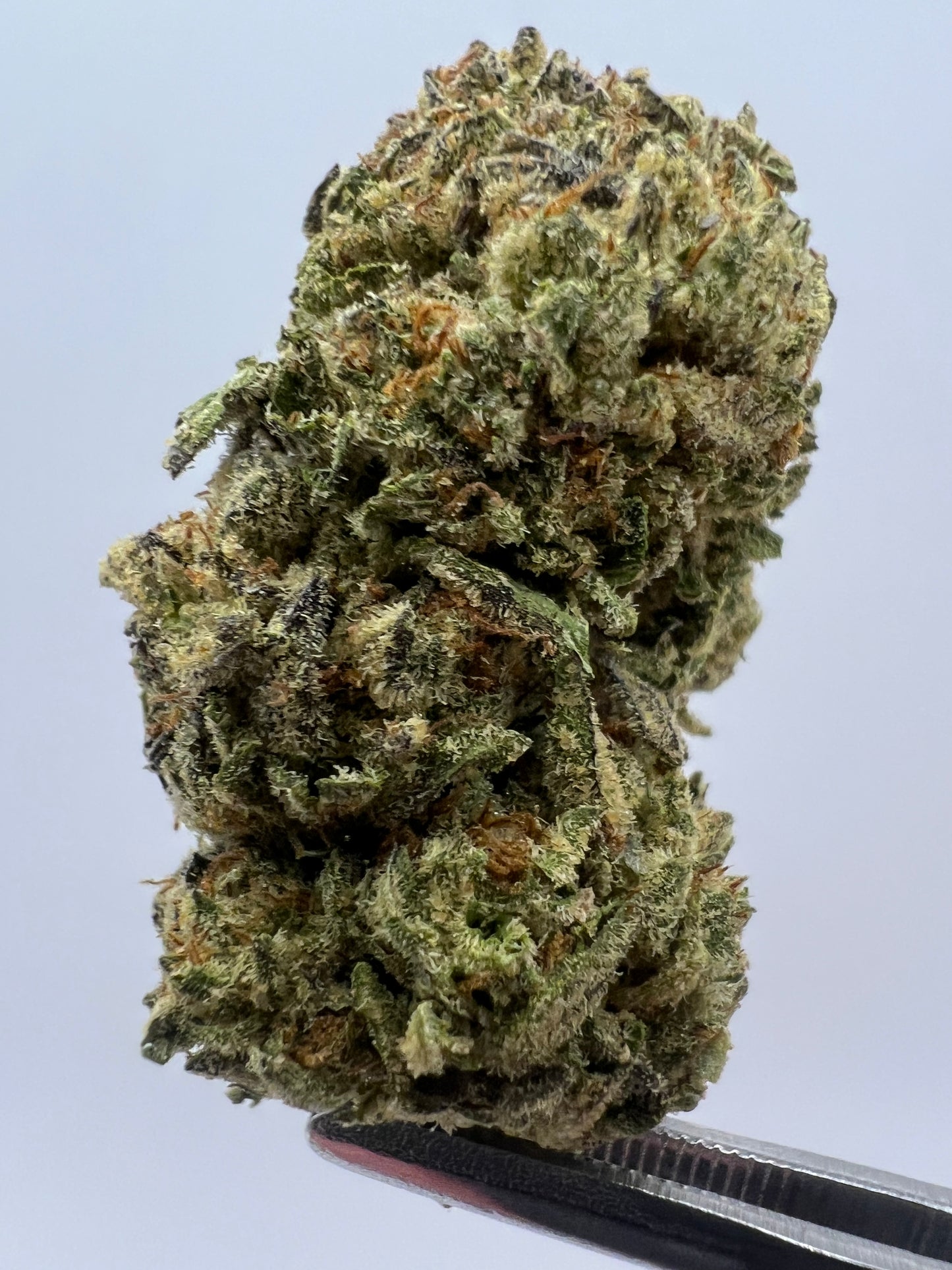 Funfetti | THCA Flower