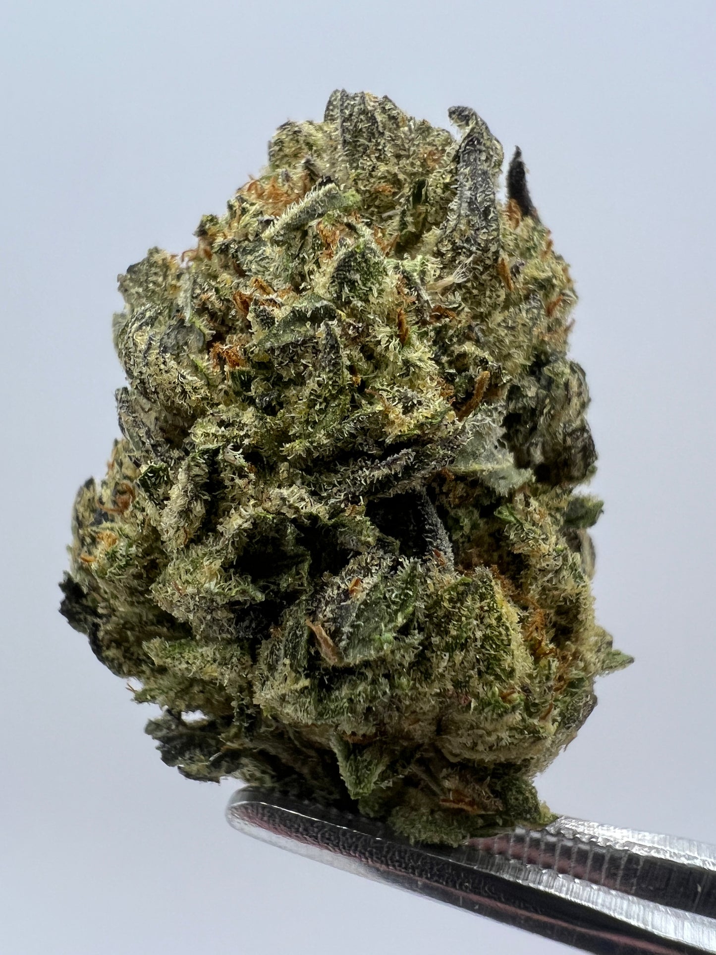 Rainbow Gelato | THCA Flower