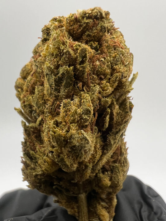 Candy Gas | THCA Flower