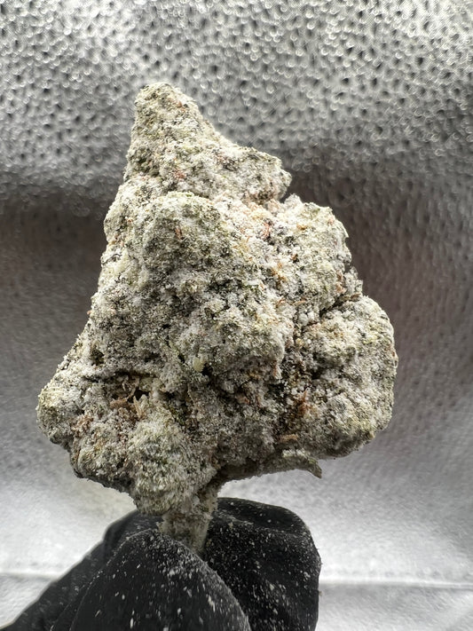Snow White | THCA Snowcaps