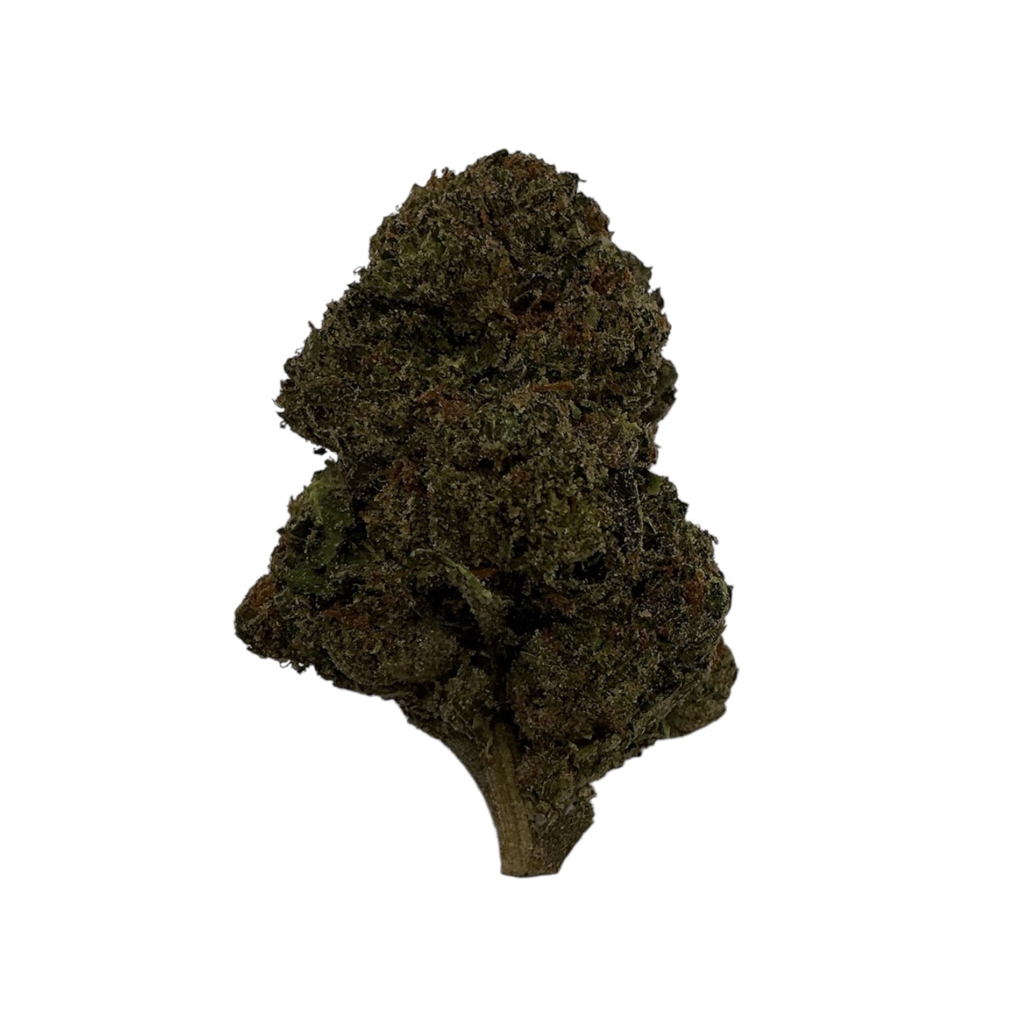Jack Herer THCA Flower