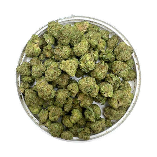 Gushers (Indoor Smalls)