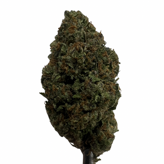 Black Cherry Gelato | THCA Flower