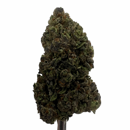 Purple Lemon Punch | THCA Flower