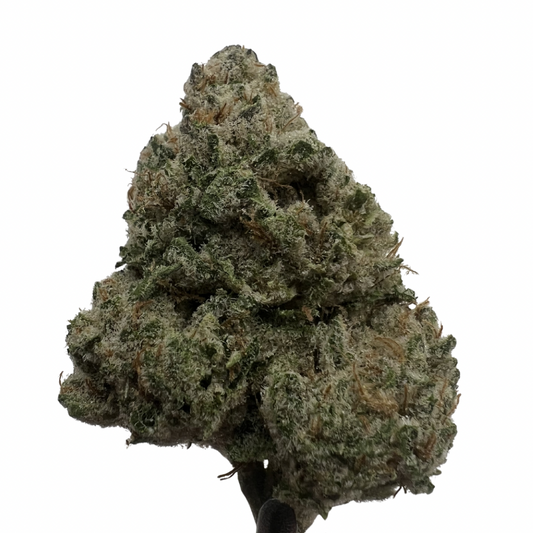 Modified Mintz | THCA Flower