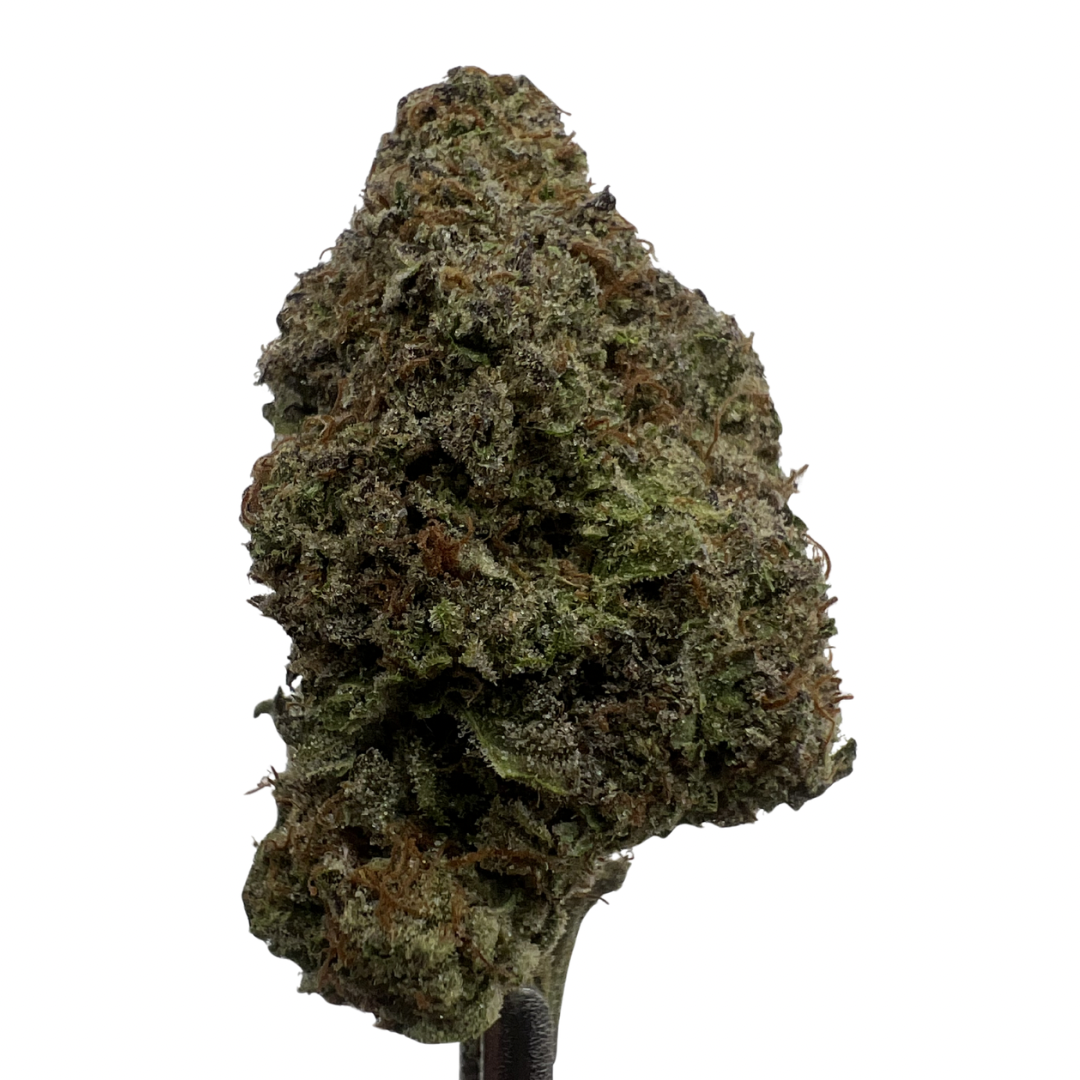 Italian Ice | THCA Flower