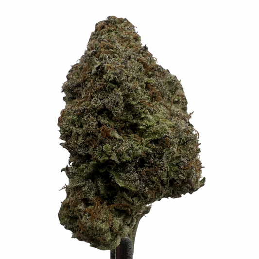 Italian Ice | THCA Flower