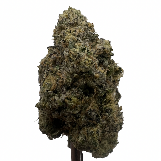 Lemon Cherry Gelato | THCA Flower