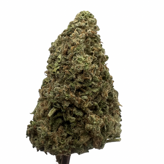 Purple Cream Pie | THCA Flower