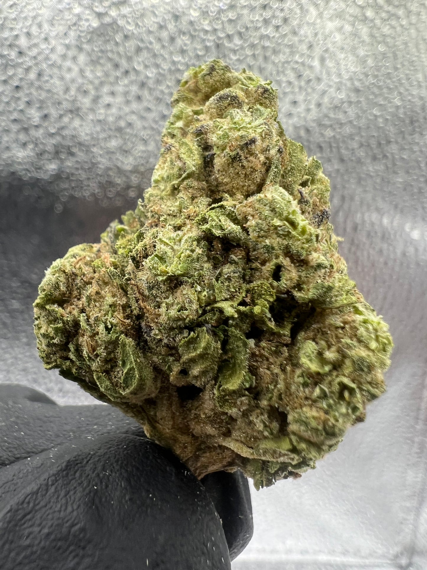 Grape Mintz | THCA Flower