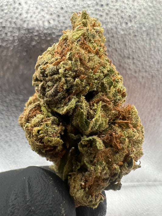 Halle Berry | THCA Flower