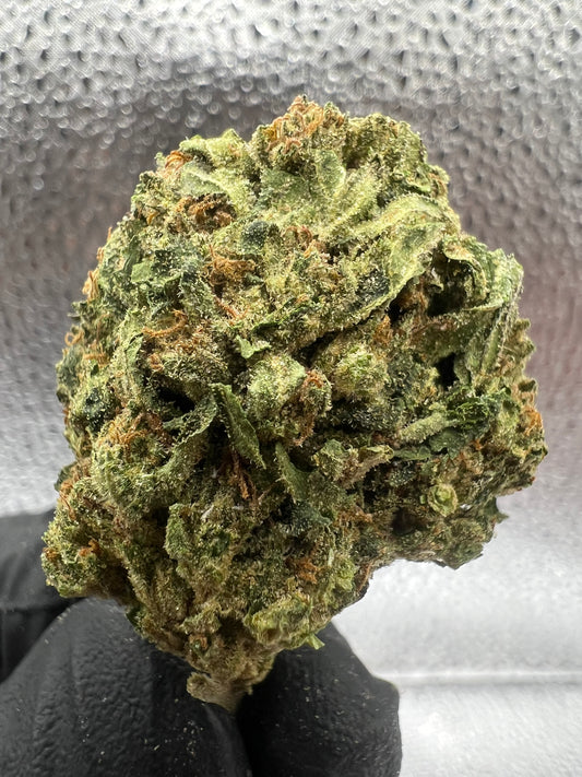 Purple Push Pop | THCA Flower