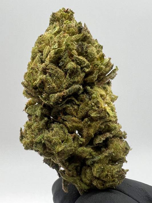 Life Star | THCA Flower