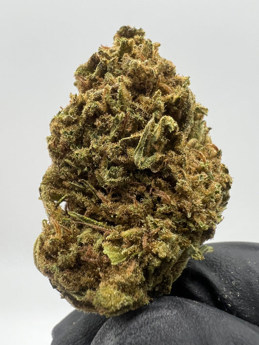 Orange Lemonade | THCA Flower