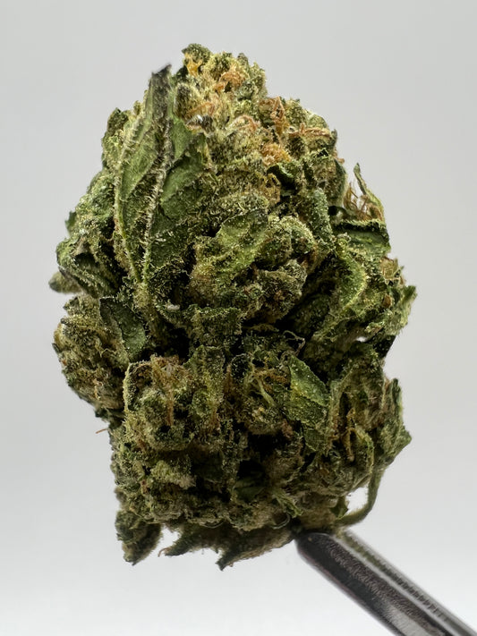 Rolex OG | THCA Flower