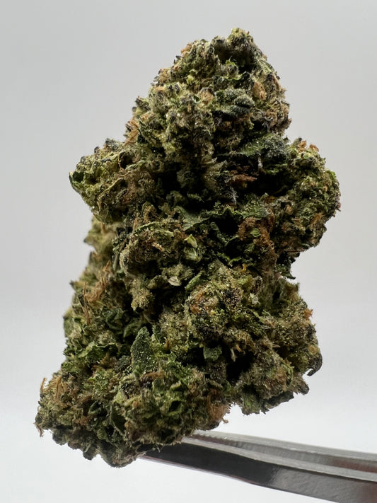 Silver Spaceship | THCA Flower