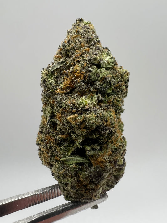 Punch Berry | THCA Flower