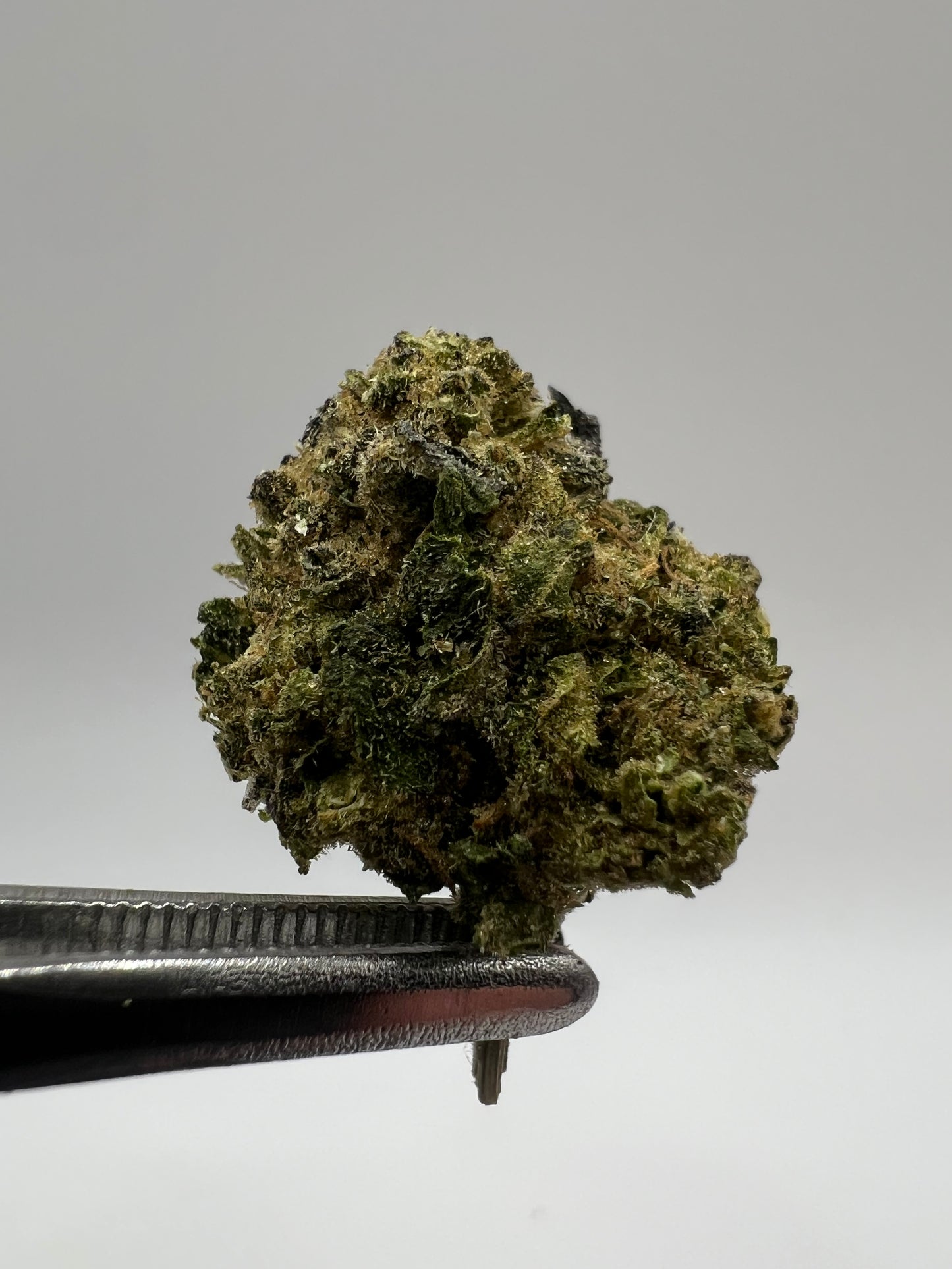 Sherbert | THCA Flower Smalls