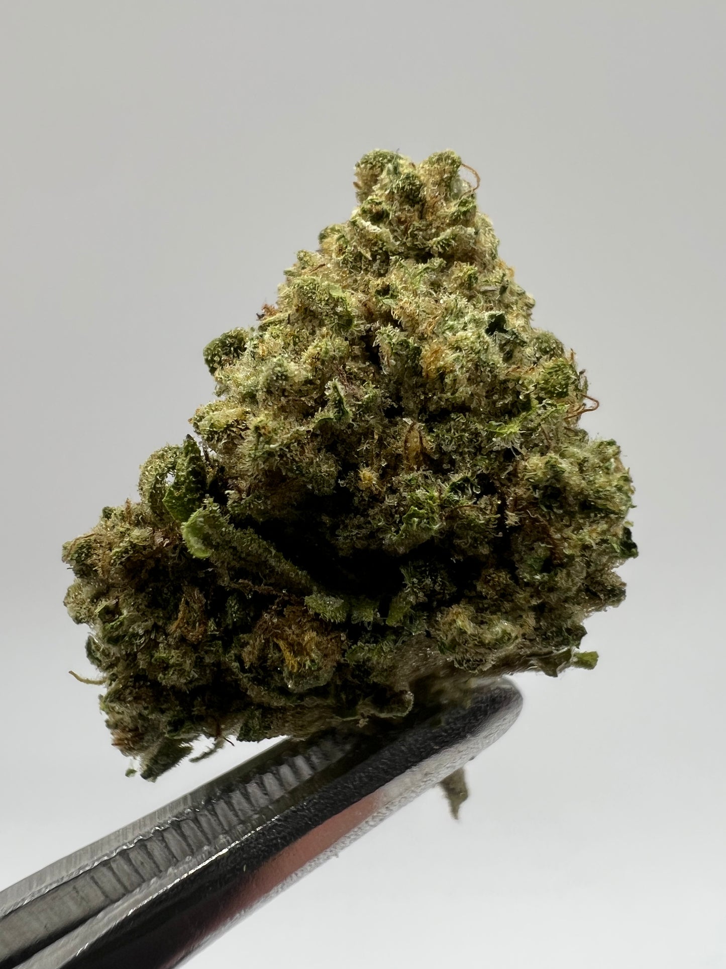 Carmel Crème | THCA Flower Smalls