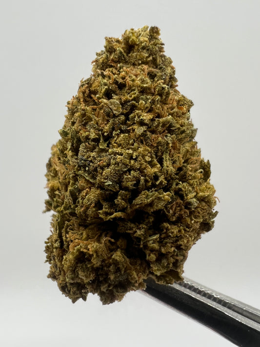 Bingo Runtz | THCA Flower