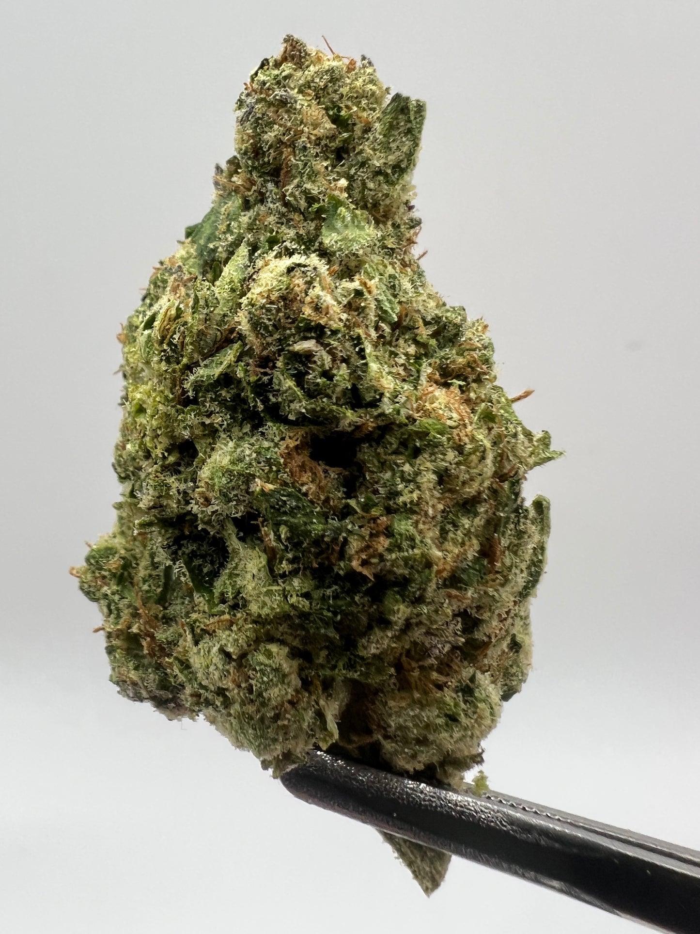 Barbie Doll | THCA Flower