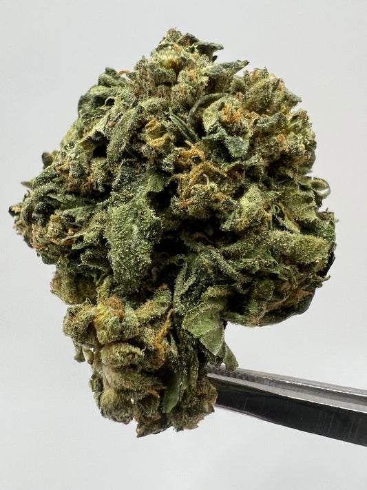 Lemon Curd | THCA Flower