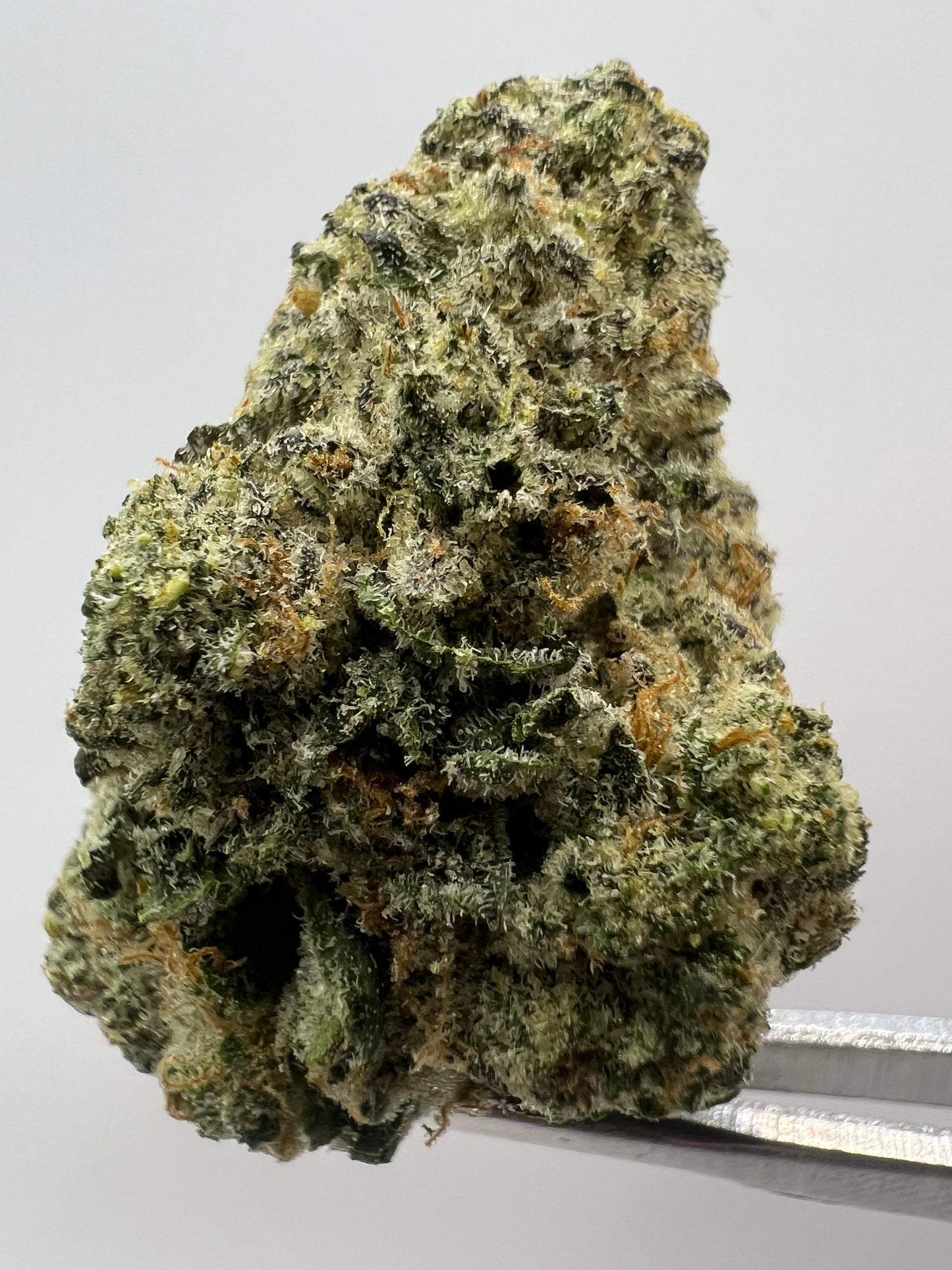 Street Tarts | THCA Flower