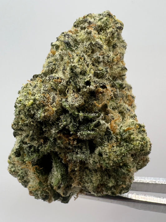 Street Tarts | THCA Flower