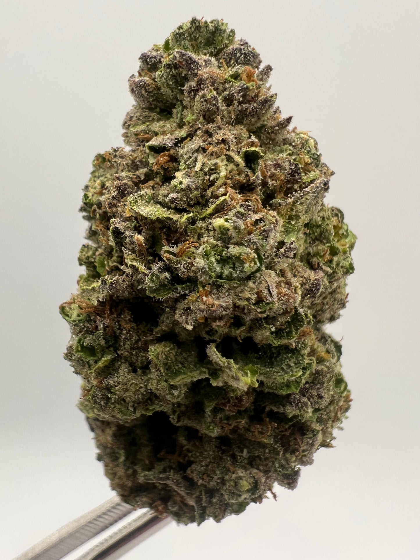 Biscotti | THCA Flower