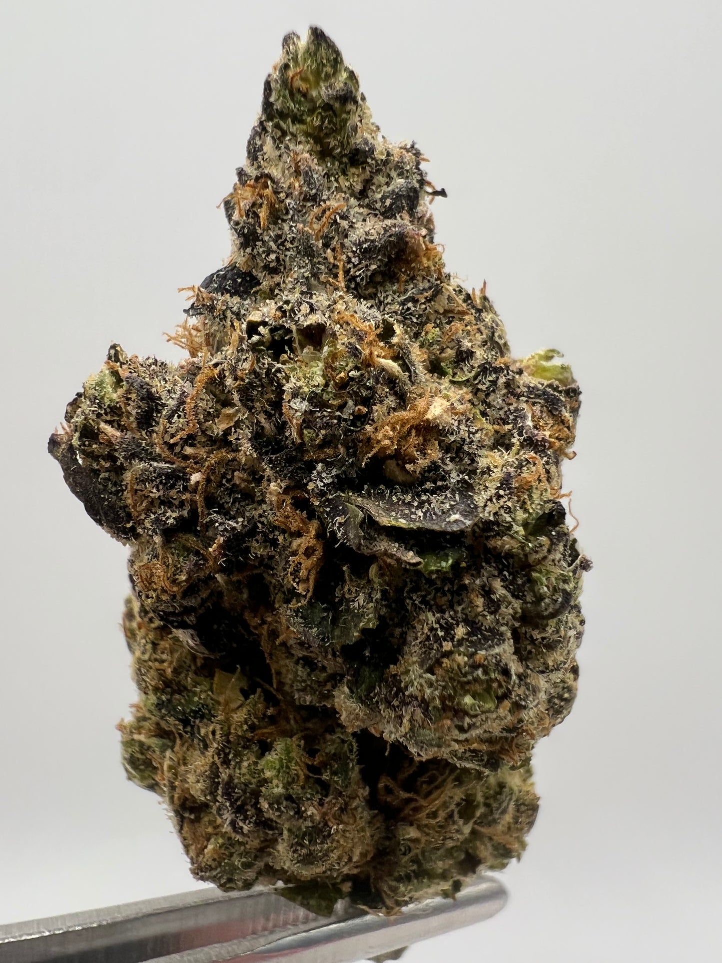Galactic Warheads | THCA Flower