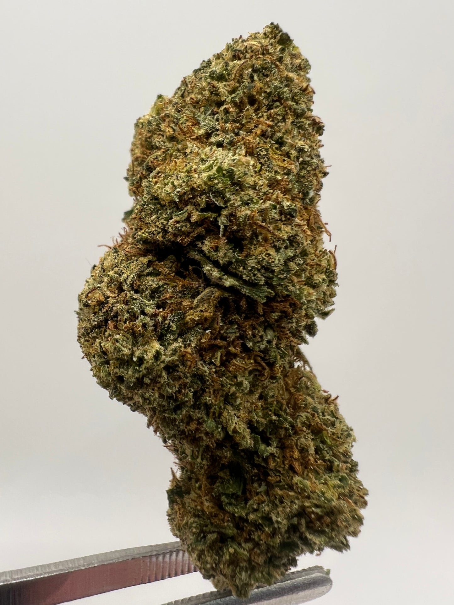 Banana Bread | THCA Flower