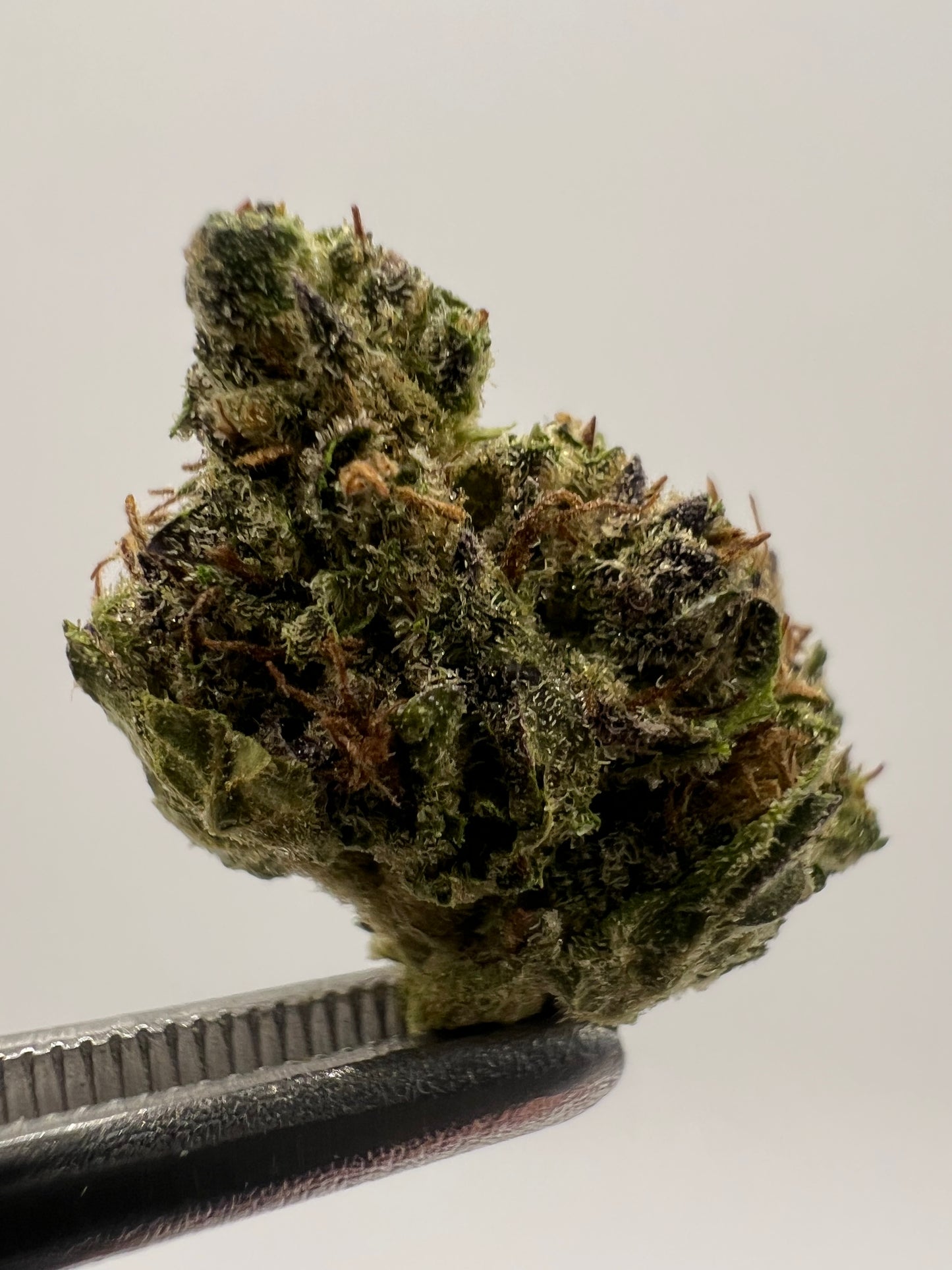 Purple Punch | THCA Flower Smalls